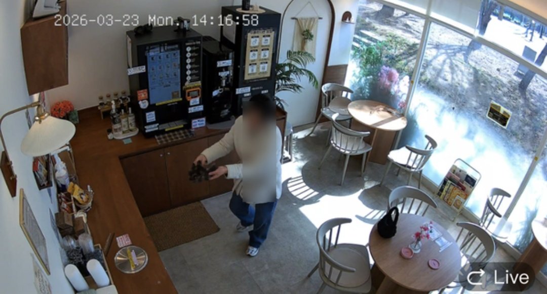 돌콩파파 tweet media