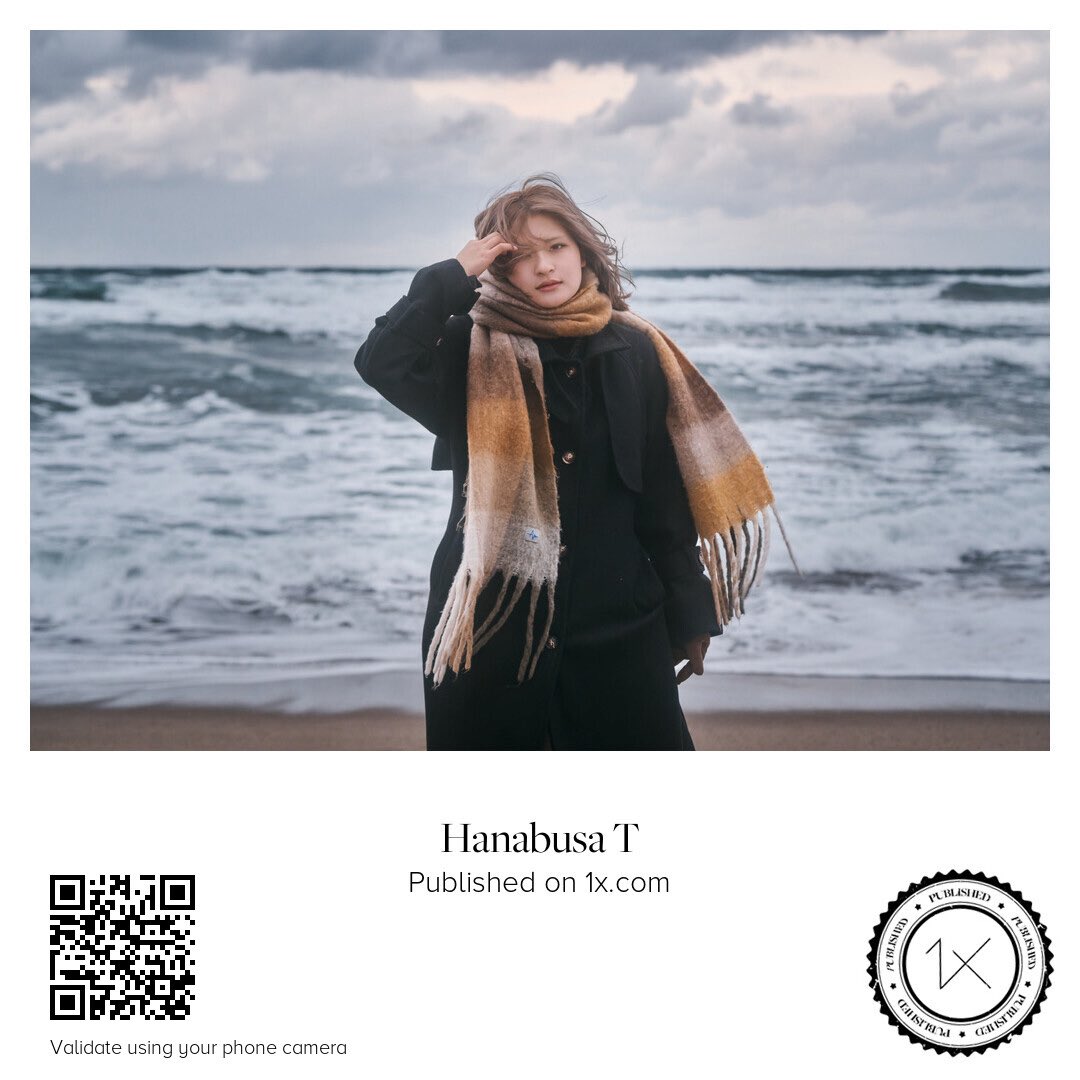 にしひで tweet media