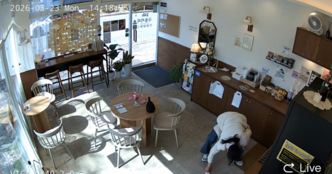 돌콩파파 tweet media