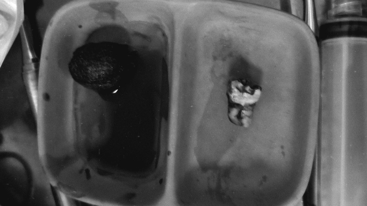 Kio ☔🎹✨ tweet media