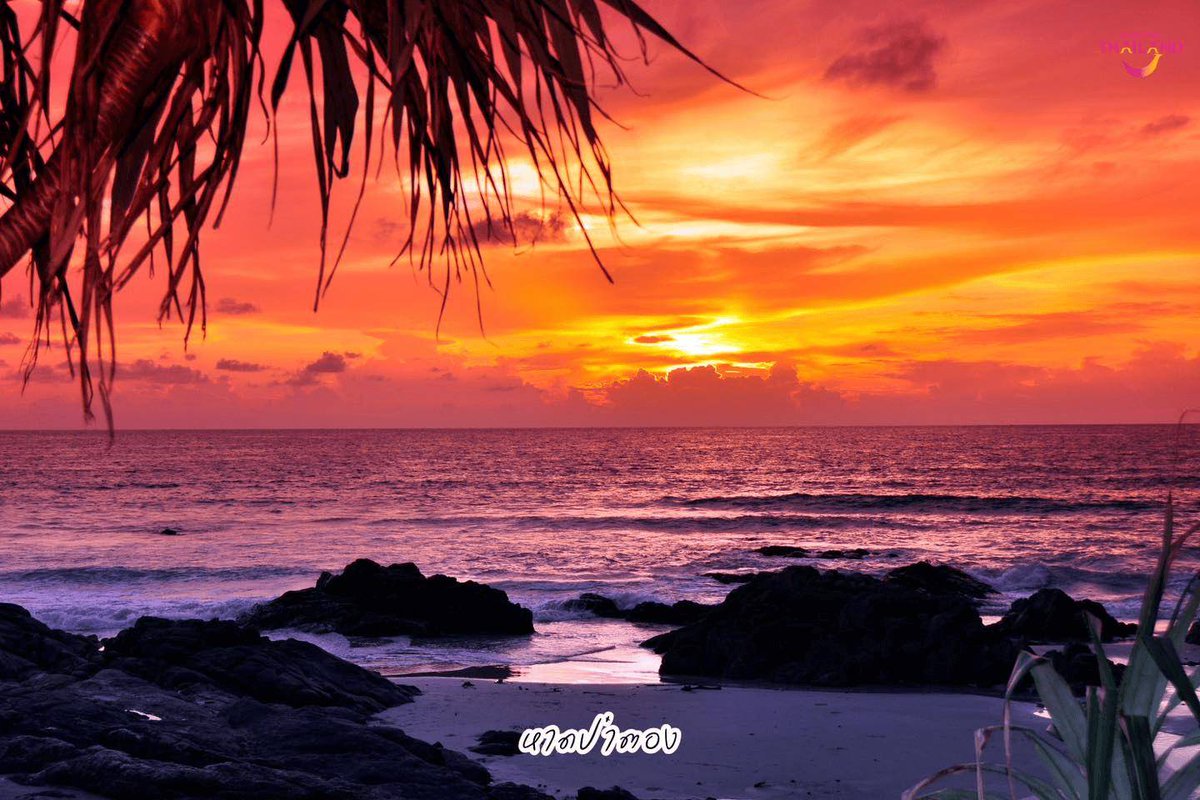 HOPE NANKIE MOUMAKWE tweet media