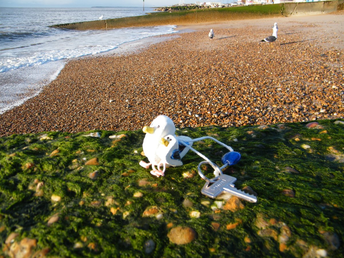 window cleaner and Artist tweet media