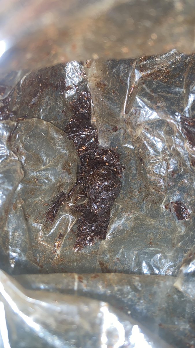 𝘳aᠻ•🏴🚩 tweet media