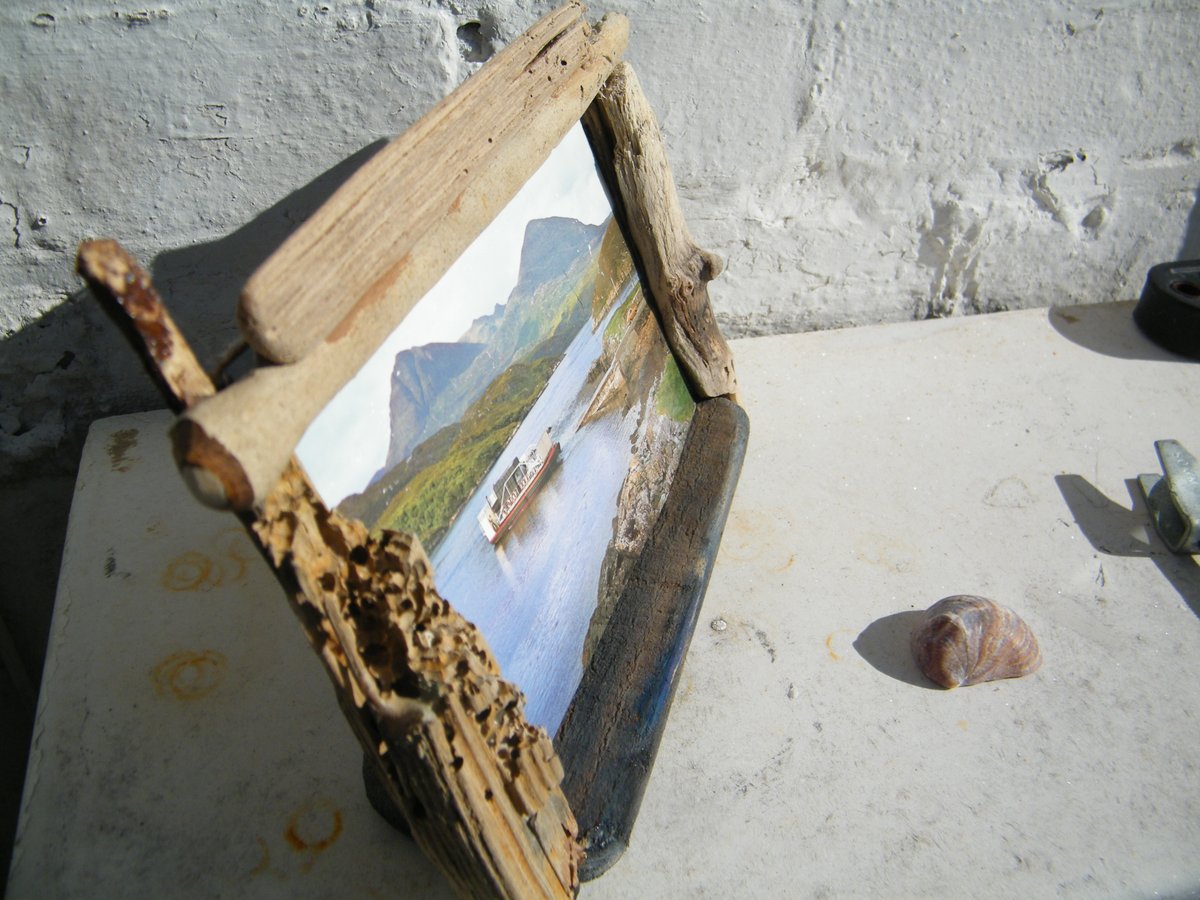 window cleaner and Artist tweet media