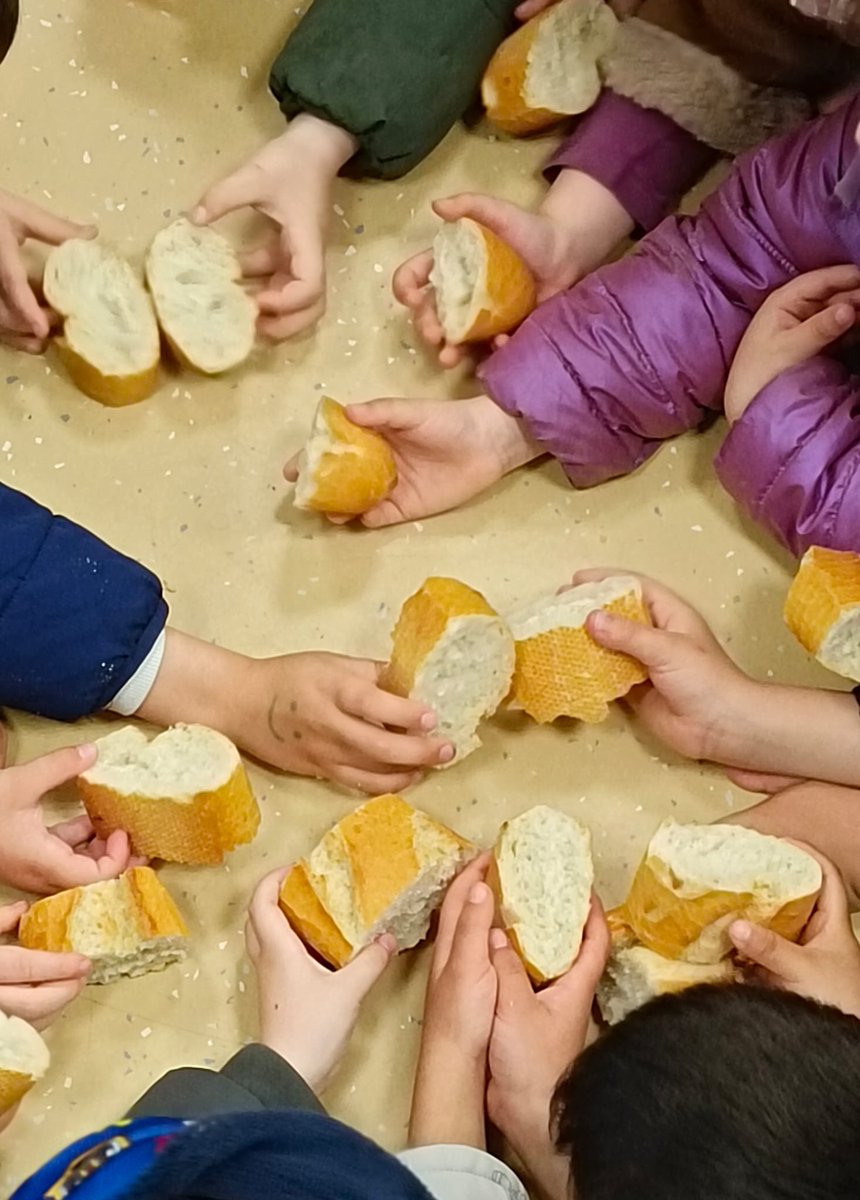 Salesianos Guadalajara tweet media