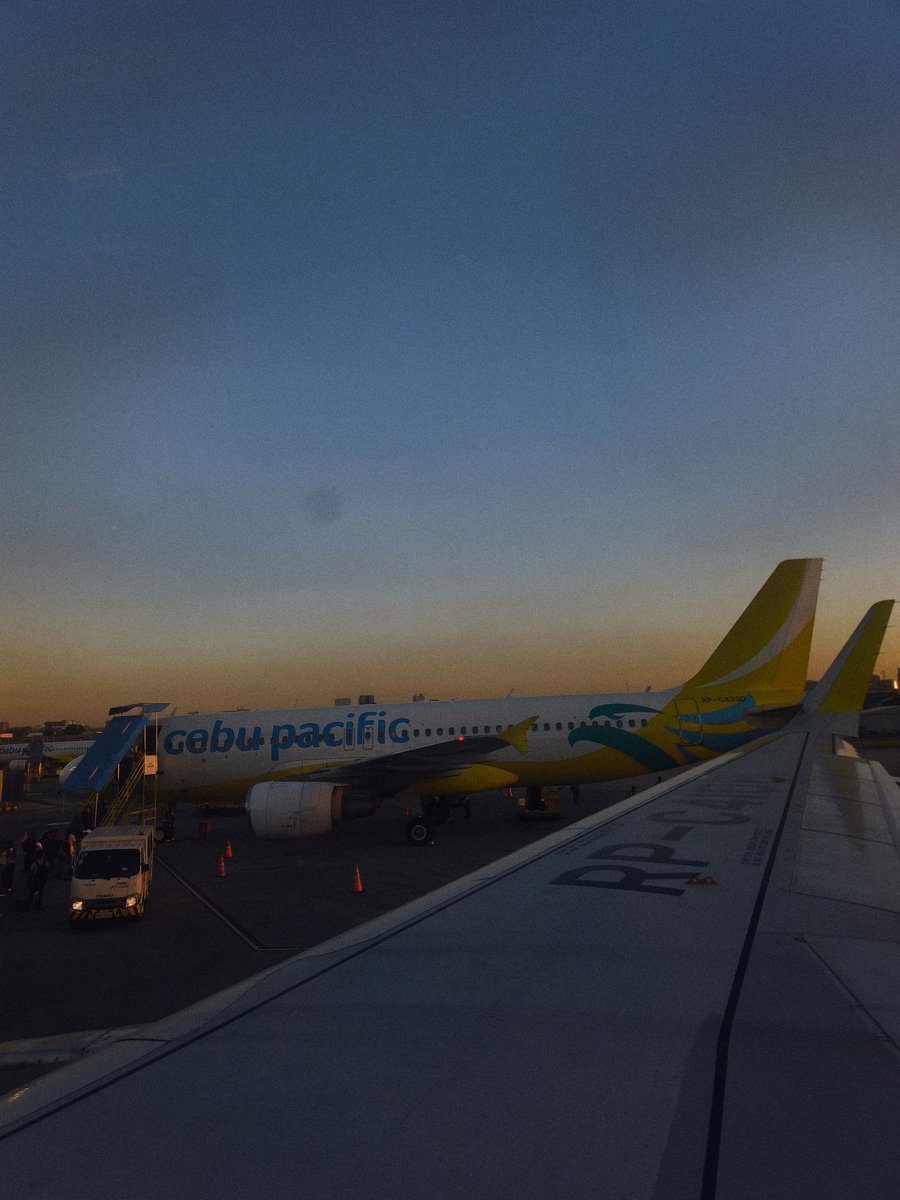 rollyrcoster tweet media