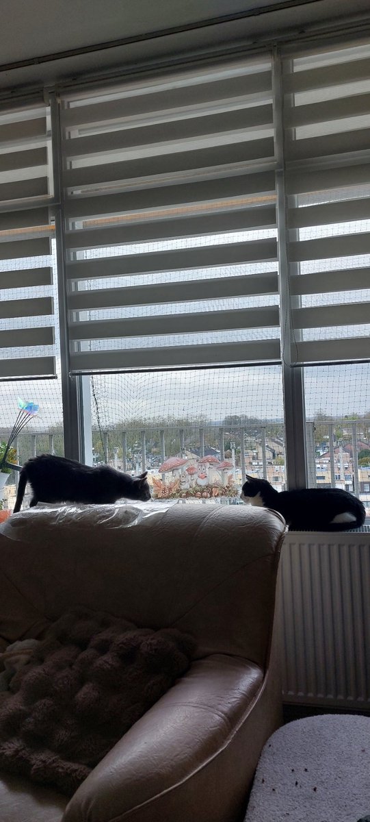 Katje1111 tweet media