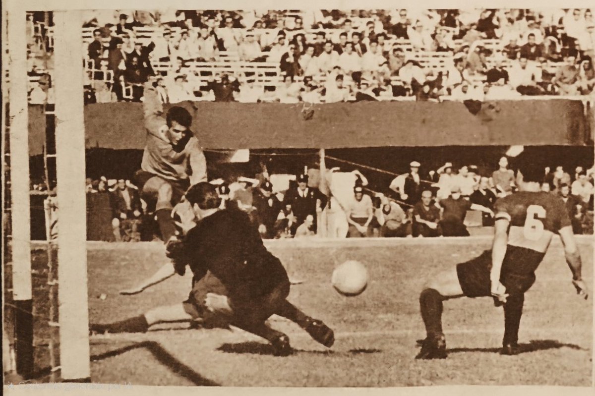 Loco Bernao 🇦🇹7️⃣🇦🇹 tweet media