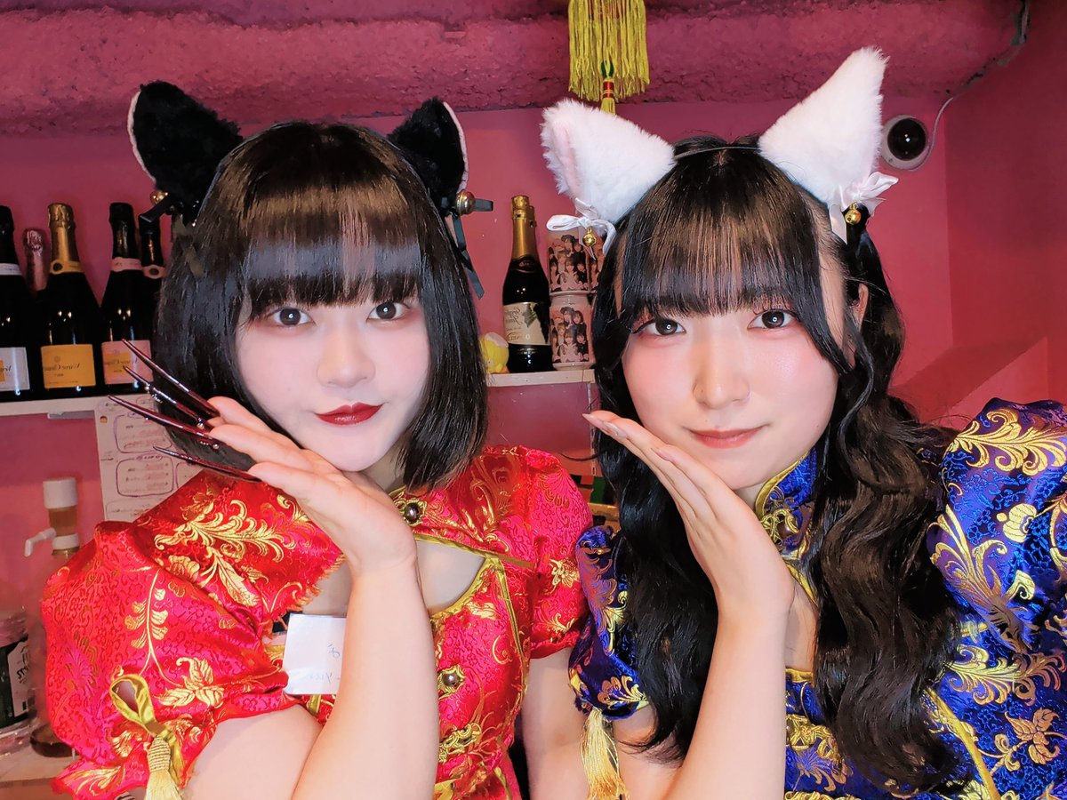 桃猫堂秋葉原店🐾コンカフェ最大手✴️ tweet media