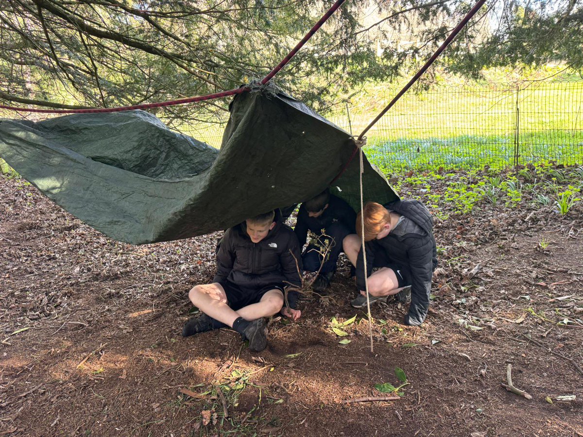 KingsPriory's tweet photo. Survivor 🏕️ https://t.co/9HvX97PzPZ