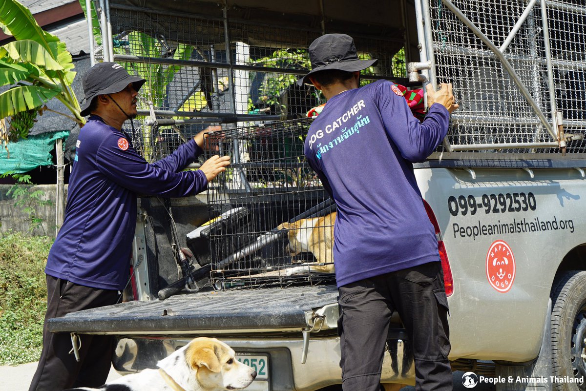 People & Animals Thailand tweet media