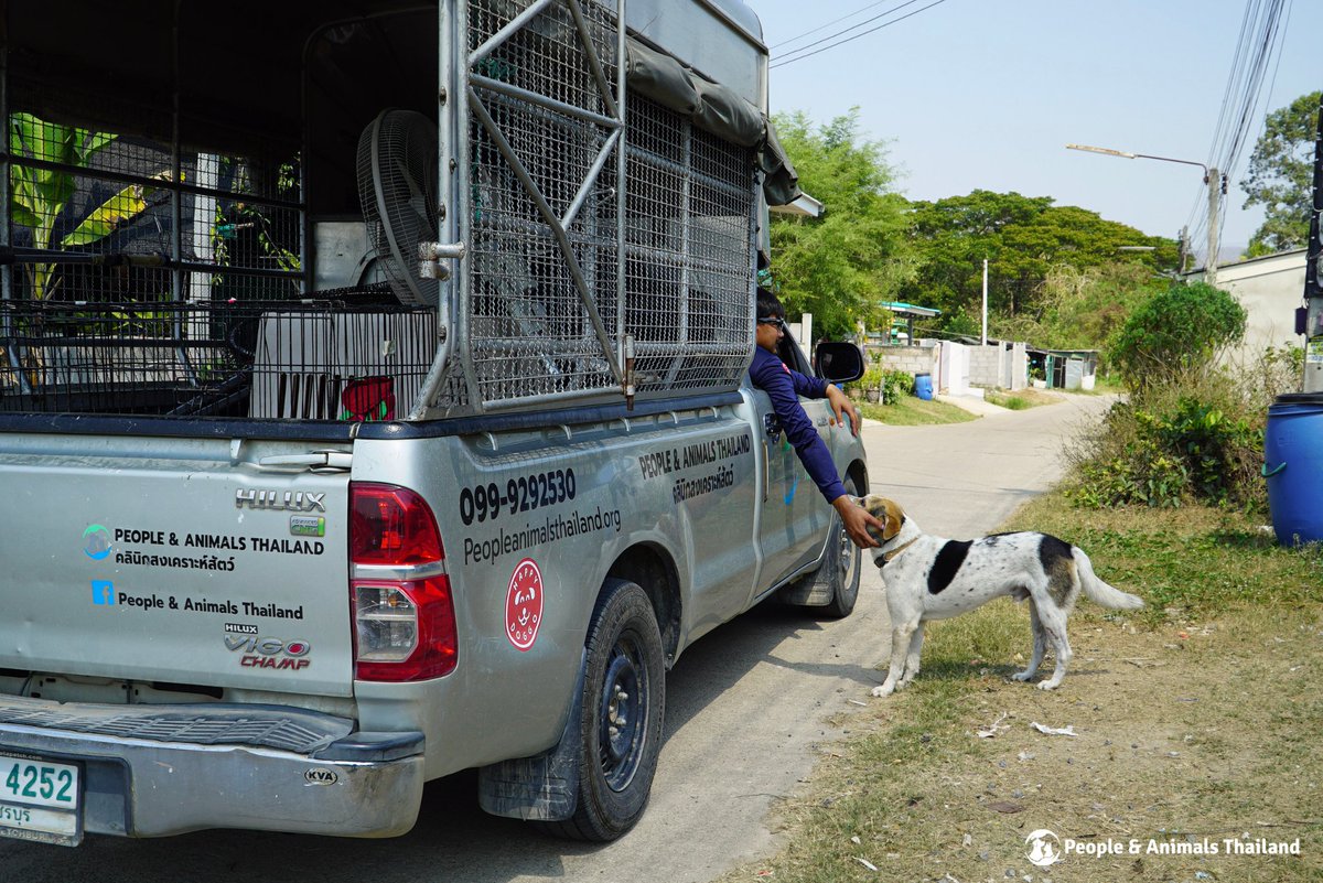 People & Animals Thailand tweet media
