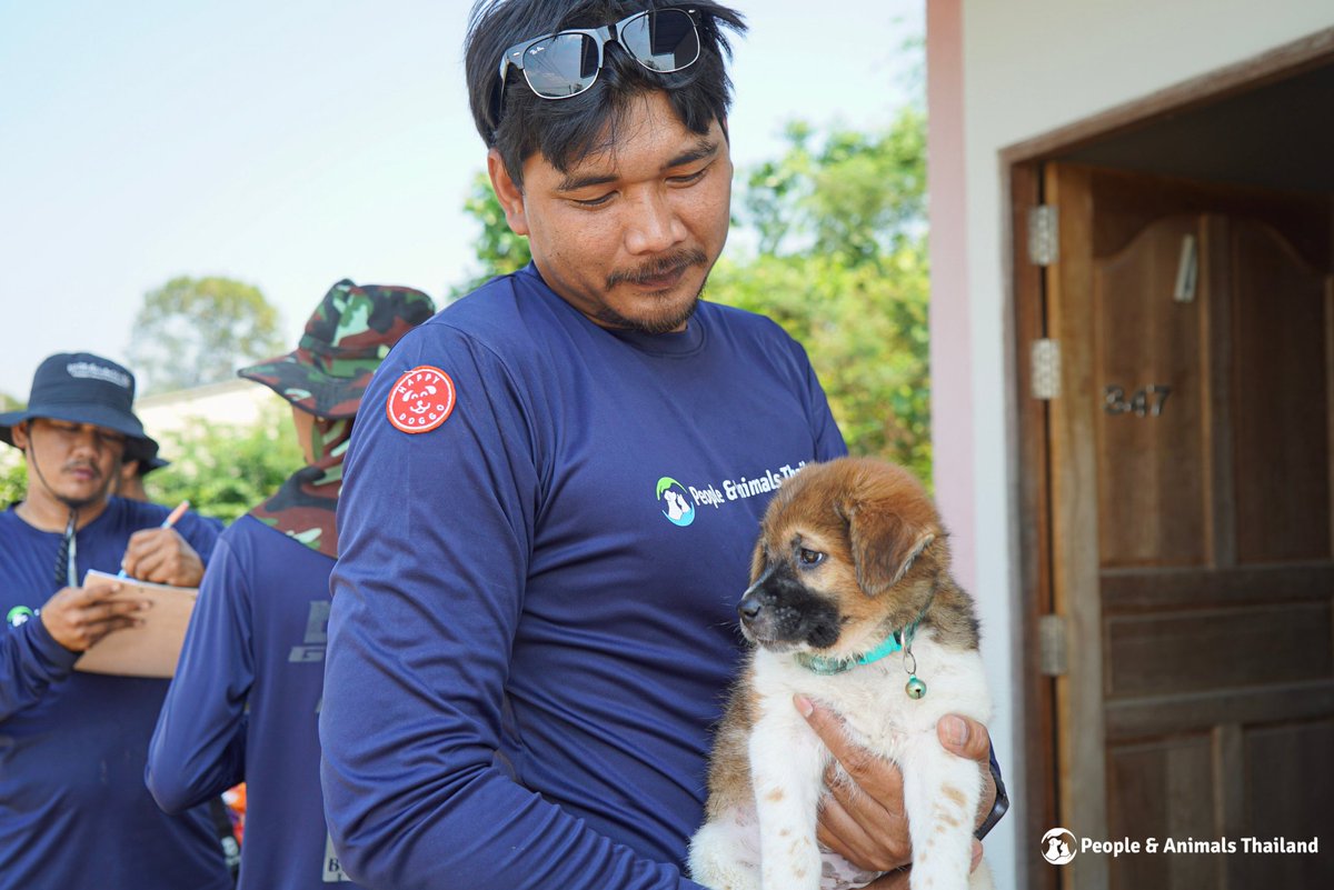 People & Animals Thailand tweet media