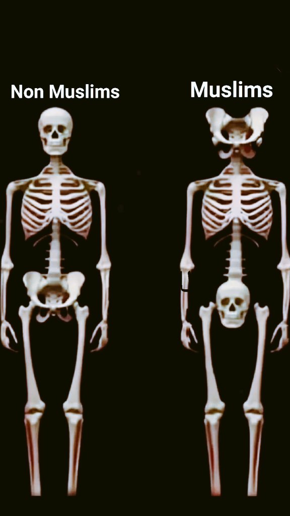 Ex Muslim Afghana tweet media