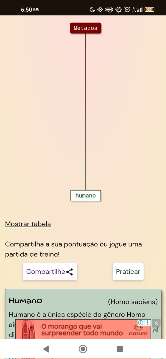 Robertttt tweet media