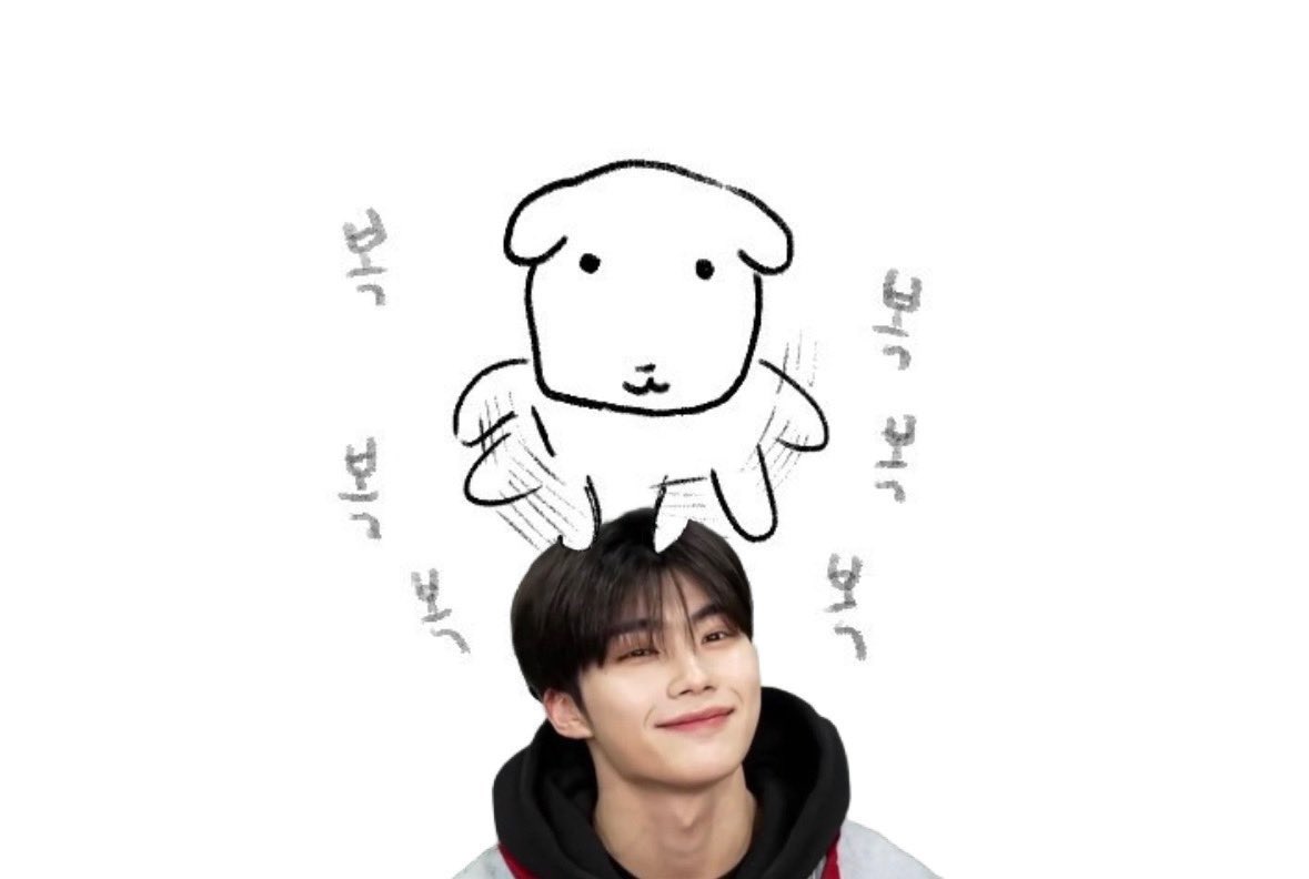 기특강아복복복해조야지