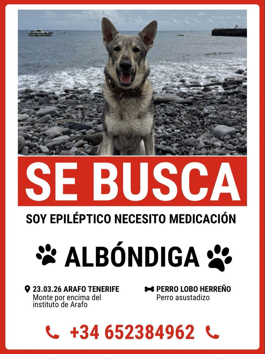 El Canario Optimista 🇮🇨ⵣ tweet media