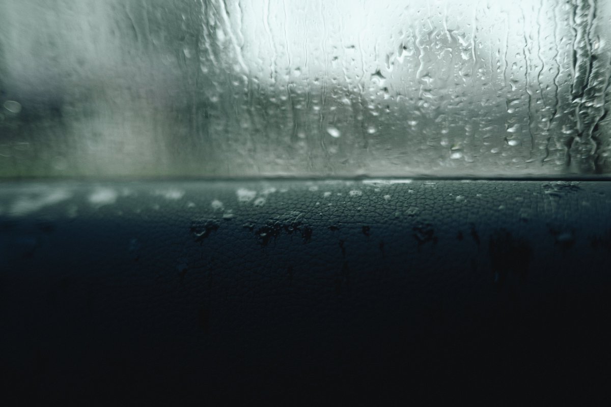 むきかめ tweet media