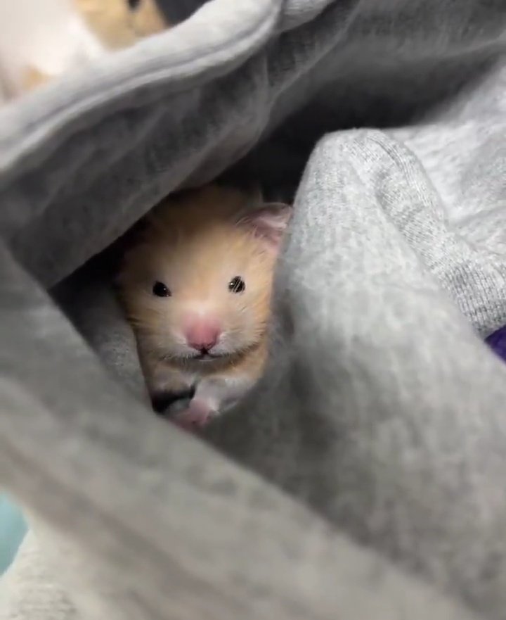 Lua 🐥 is delulu tweet media