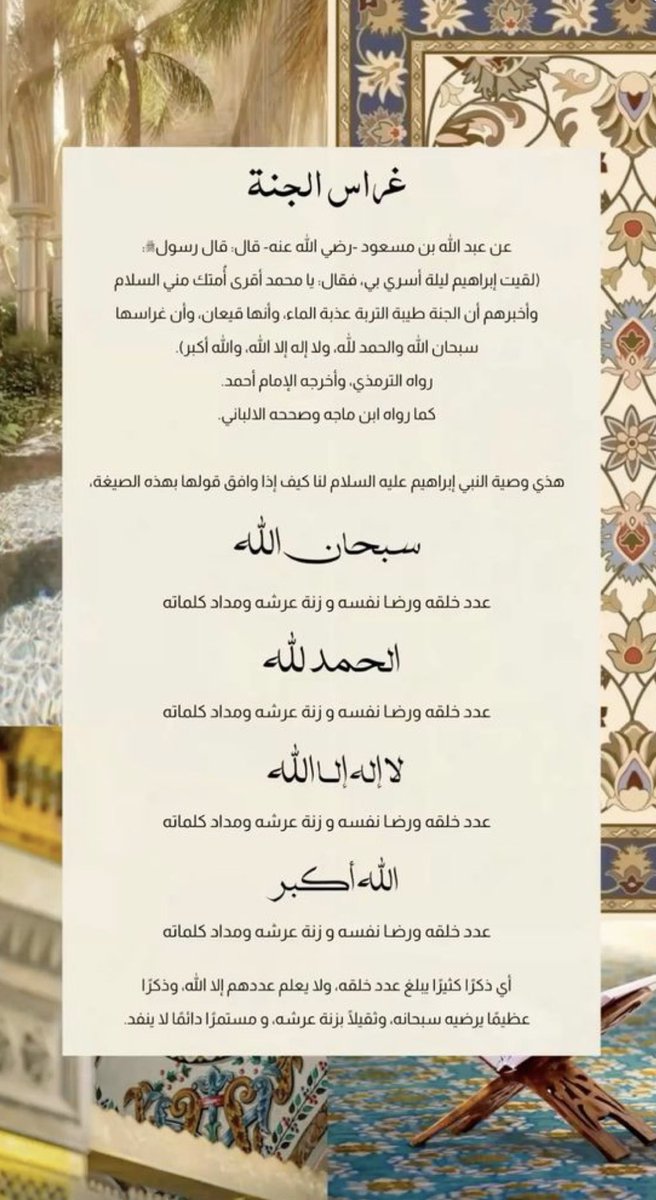 جَمِيلة tweet media