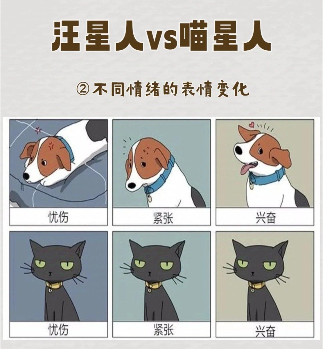 Object Narv tweet media