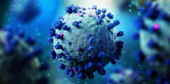 GacetaMedicaCom's tweet image. 🔬La inmunidad generada por la #COVID-19 emerge como barrera frente a futuras #zoonosis

Un estudio (@NatureComms) demuestra que la inmunidad cruzada generada por la infección y la vacunación dificulta la transmisión de nuevos sarbecovirus en humanos

gacetamedica.com/investigacion/…