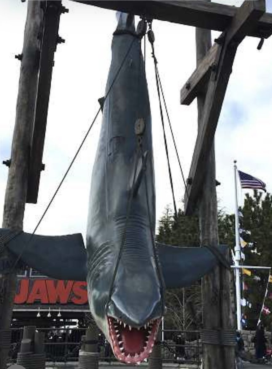 みーやん@Belle♡Ninja1000♡ tweet media