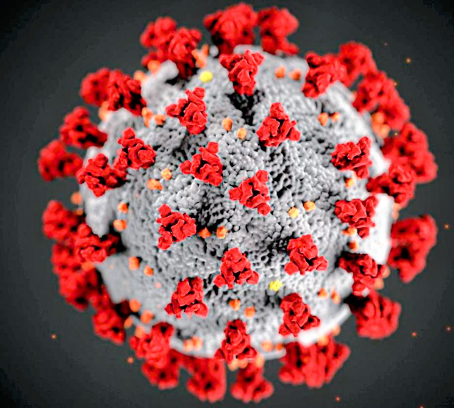 Estamos en la cuarentena  junten de todo porque el virus Kass dura 4 años
