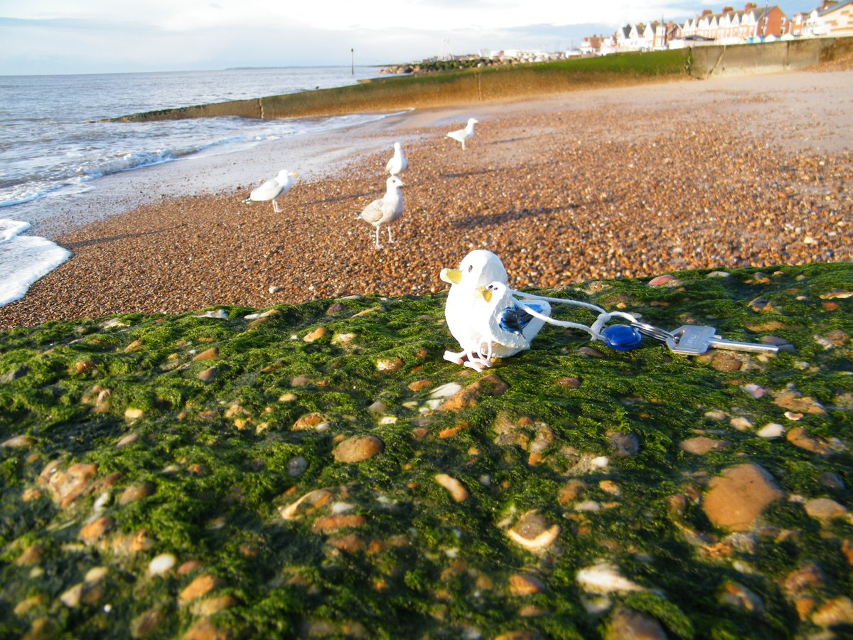 window cleaner and Artist tweet media