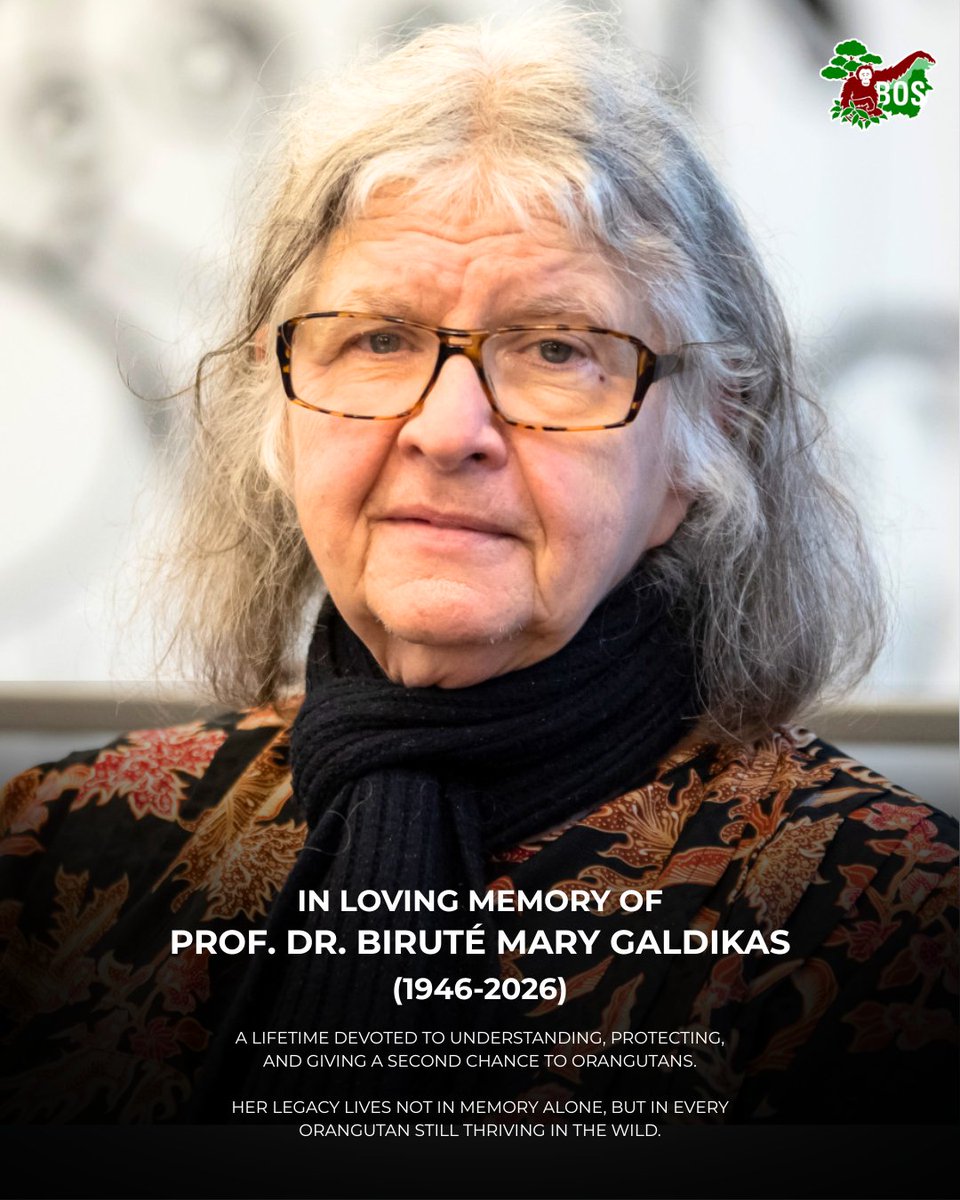 BOS Foundation tweet media