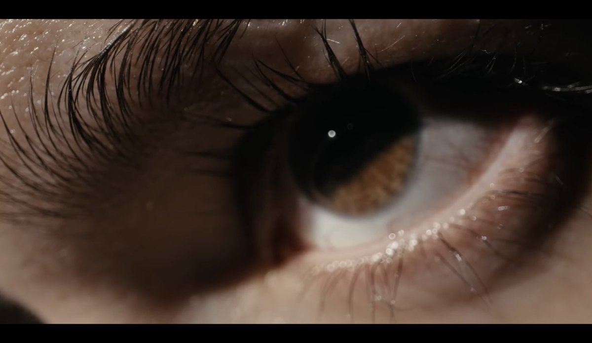 Pop Loop tweet media