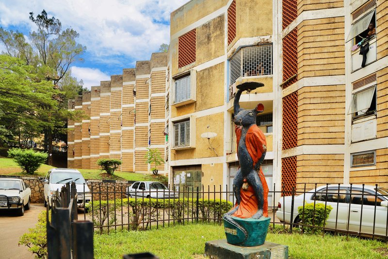 Mitchell Hall tweet media