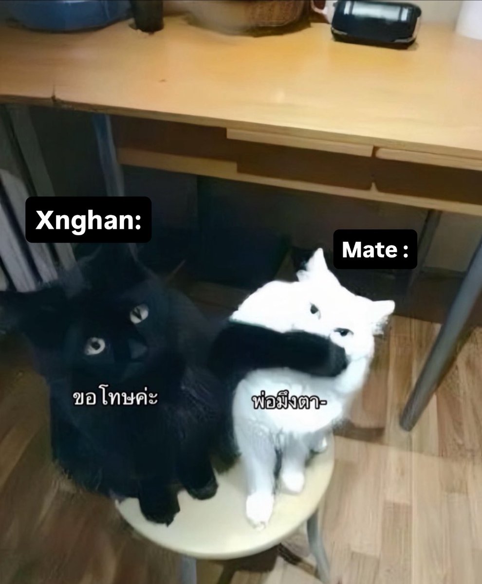 𝚇𝒶𝒾𝒾_ ✧*:⋆ ｡･:★ tweet media