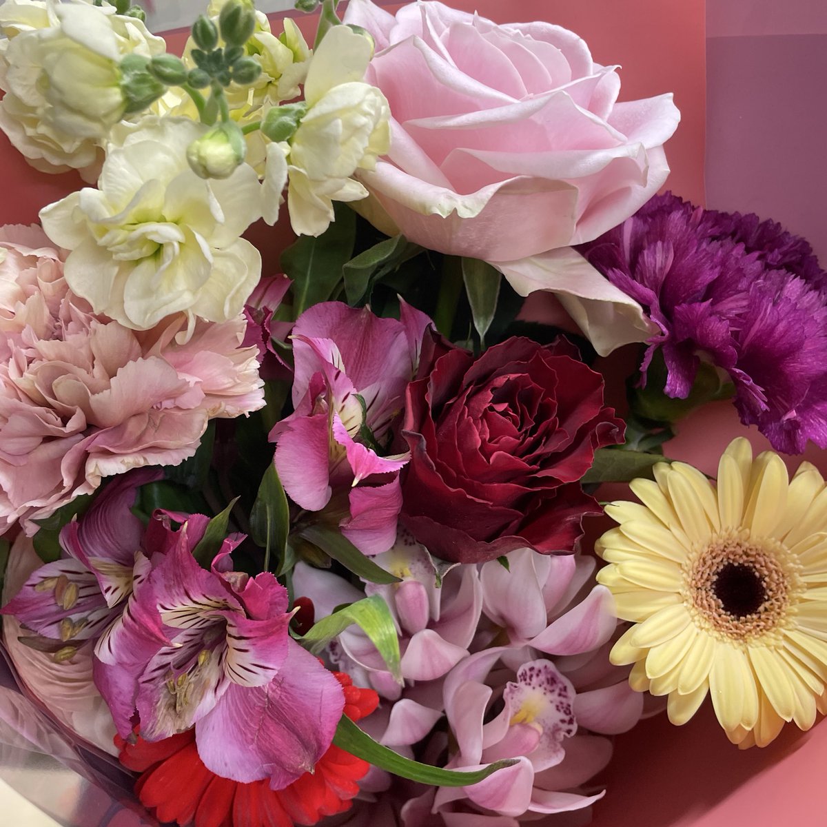 いっち。 tweet media