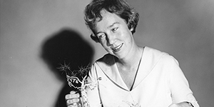 Hunt Institute for Botanical Documentation tweet media