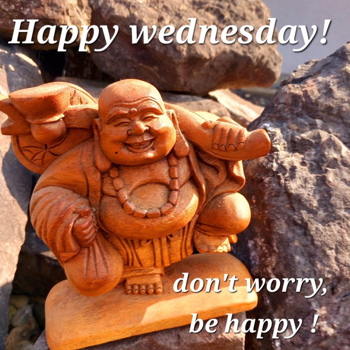 TAO CHAN 🪷 ZEN tweet media