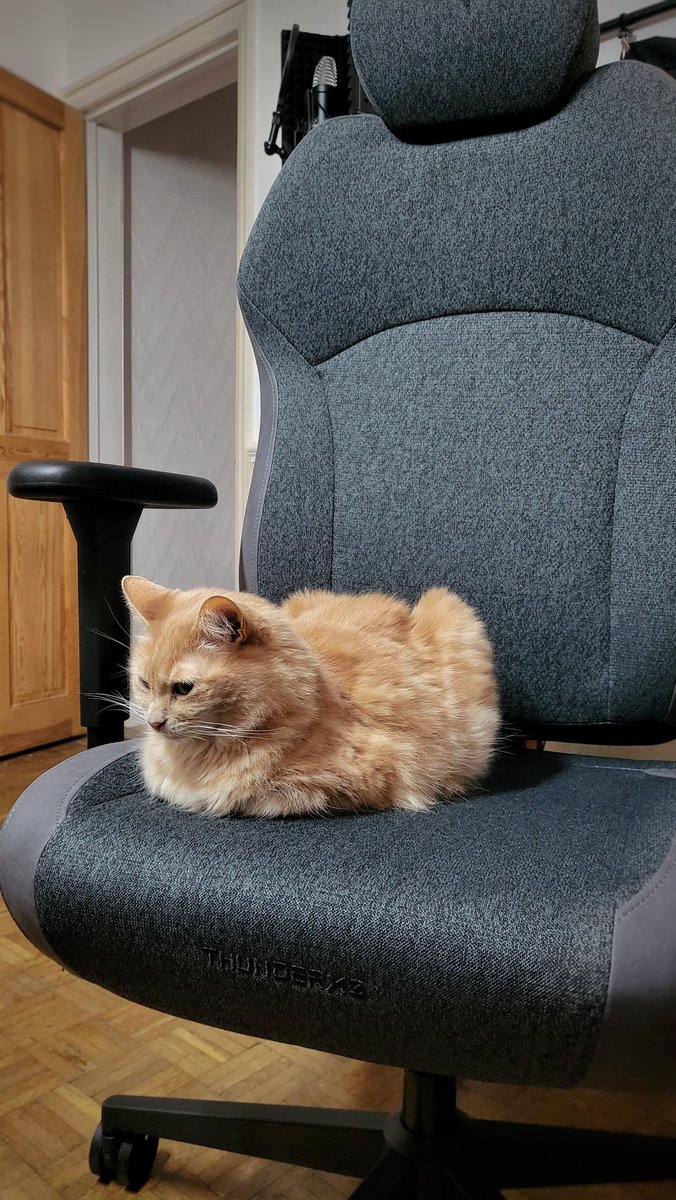 Brophers tweet media