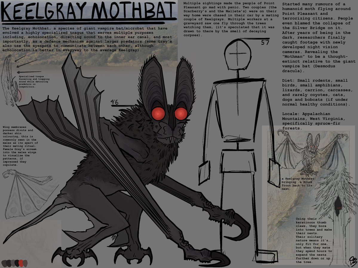 Zeph/Zephyr tweet media