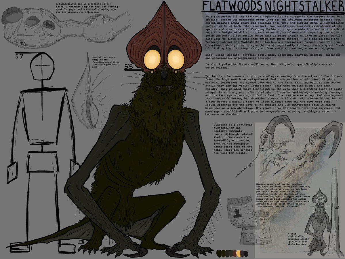 Zeph/Zephyr tweet media