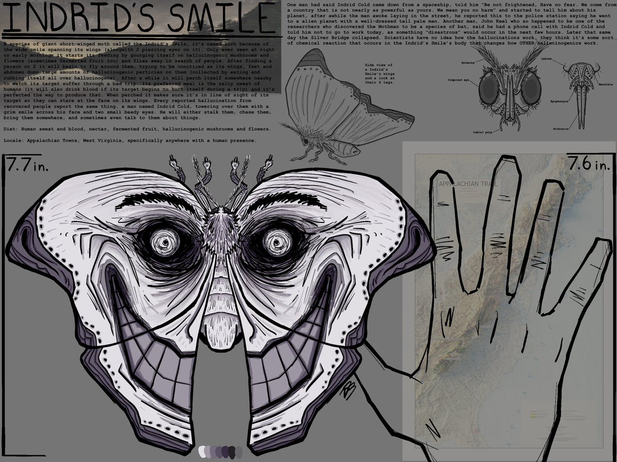 Zeph/Zephyr tweet media