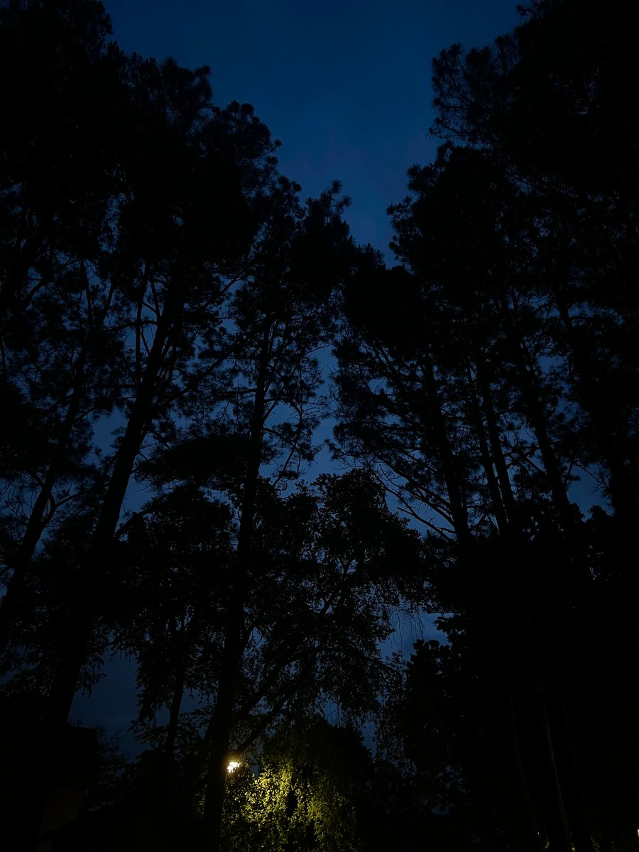 gordie by the sea 🏴󠁧󠁢󠁳󠁣󠁴󠁿 tweet media