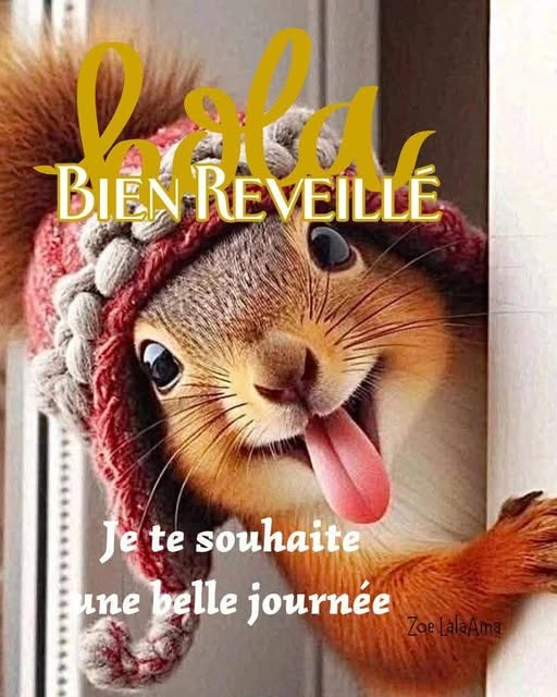 Romain 🇫🇷 🇮🇹 tweet media