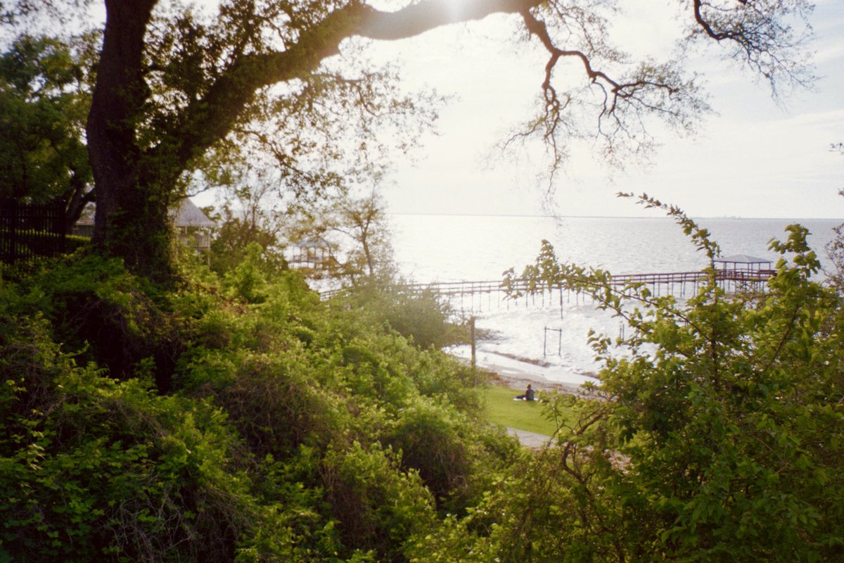 gordie by the sea 🏴󠁧󠁢󠁳󠁣󠁴󠁿 tweet media