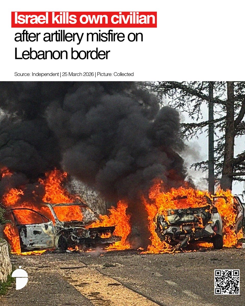 Nutshell Today tweet media