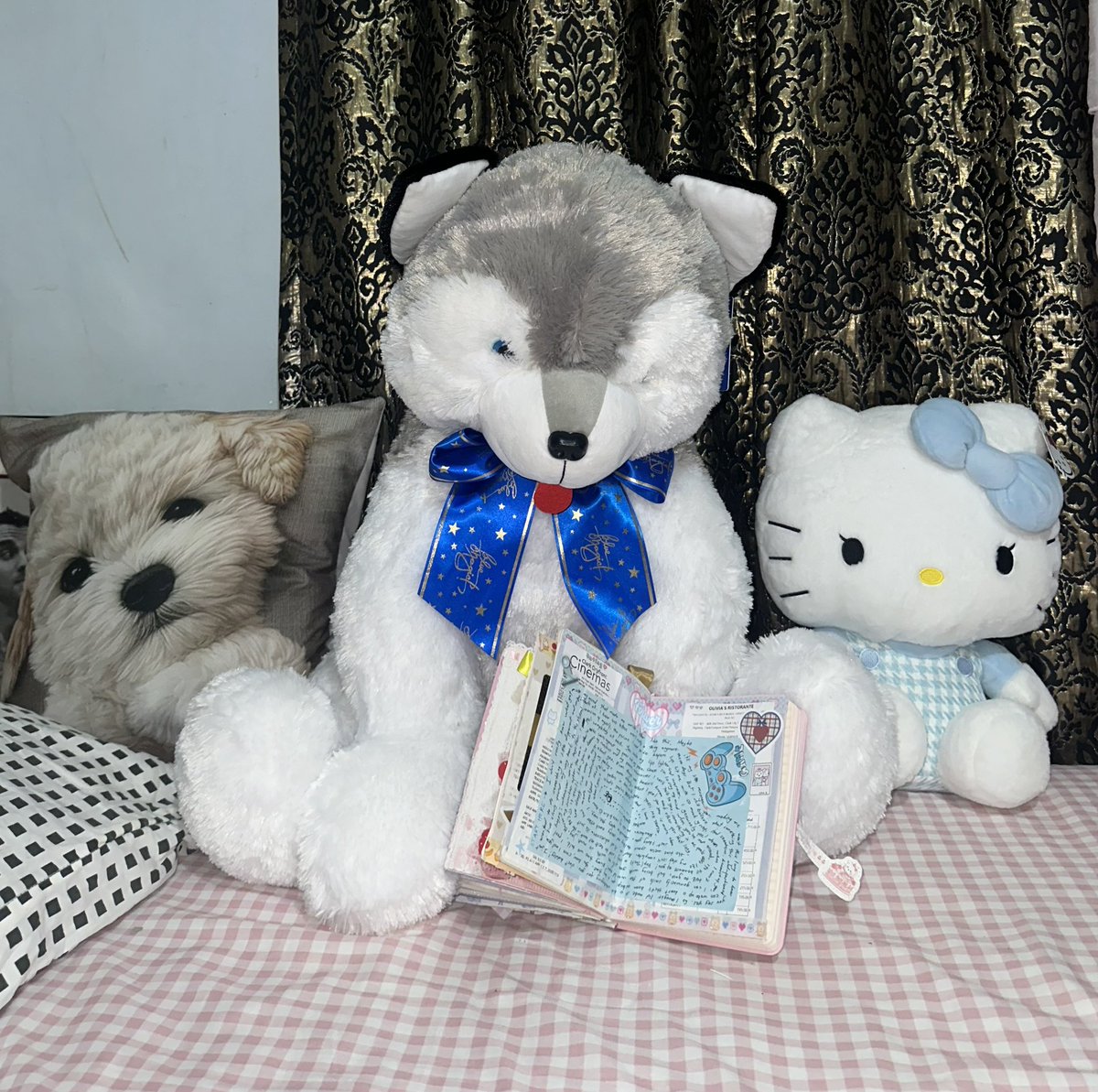 gigi 🧸 tweet media