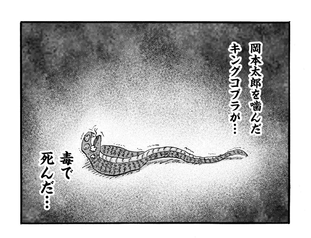 パピヨン本田 tweet media