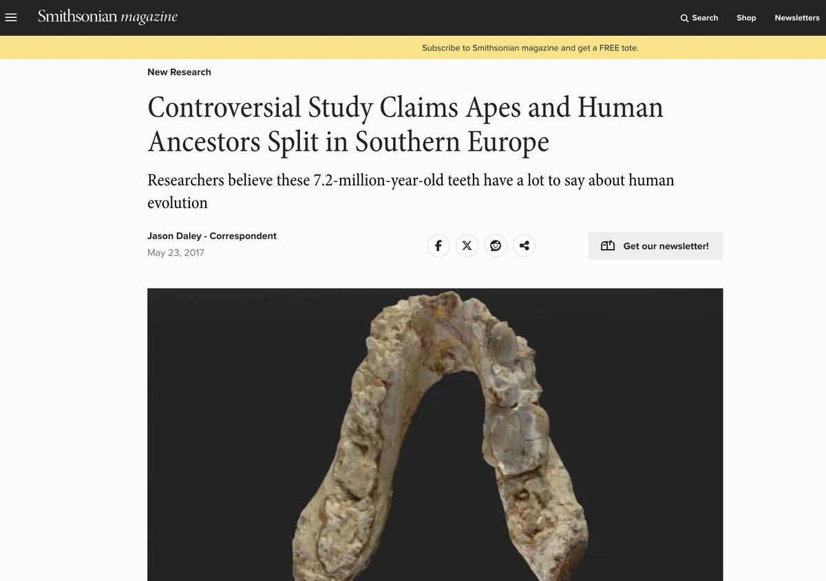 Michael Button tweet media