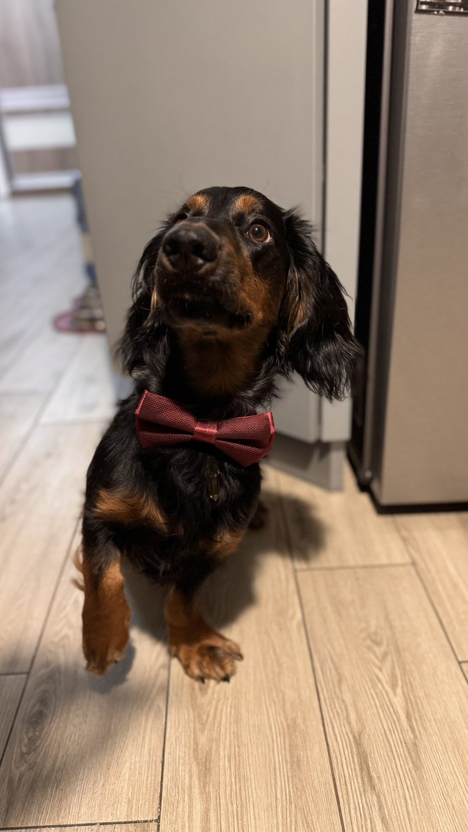 Бармен каже tweet media