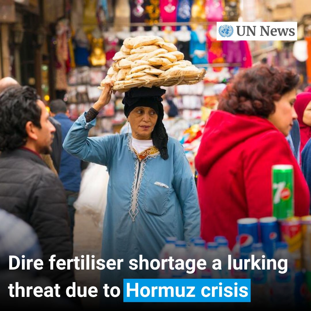 United Nations Geneva tweet media