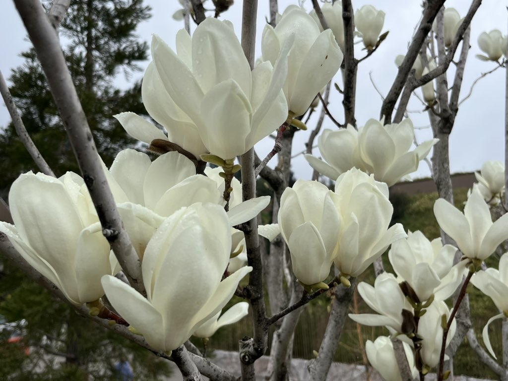 Выгораня tweet media